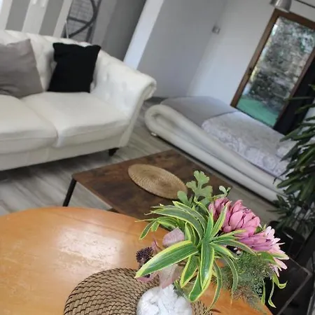 Casa Loft